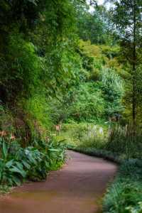 樂山必打卡綠心公園