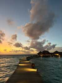 Fantastic Retreat at Coco Bodu Hithi