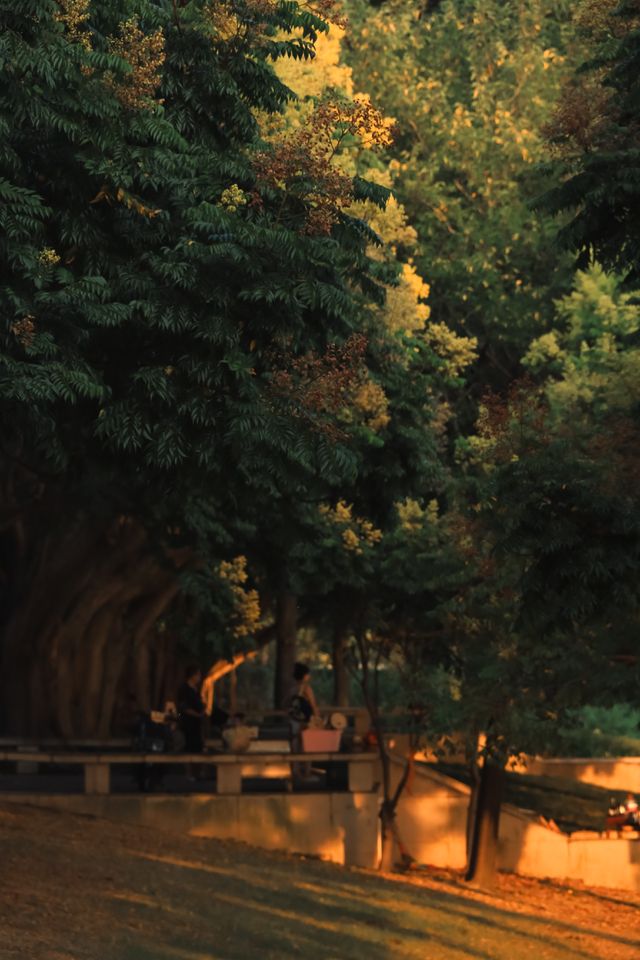 福州的秋