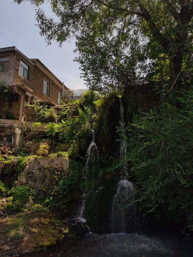 平陽湖遊玩大揭秘！風景竟藏在這