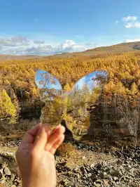 秋天的大興安嶺 live 