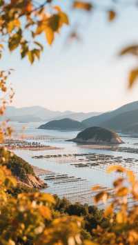 帶上家人來金秋福建三天兩晚，體驗山海與古韻的邂逅！
