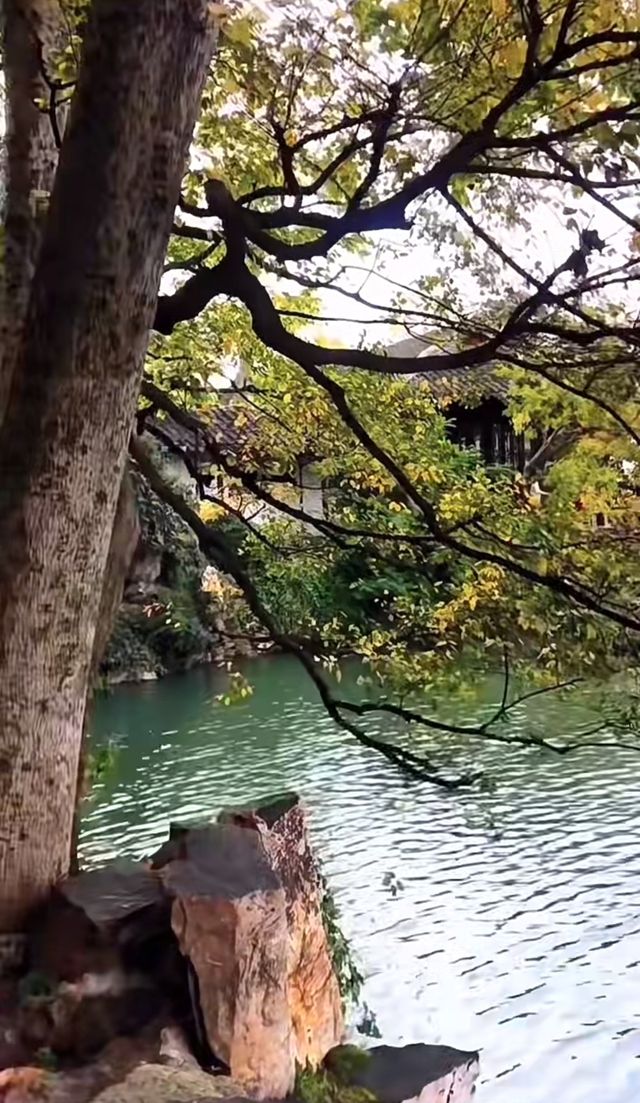蘇州滄浪亭：藏在千年文脈裡的園林秘境