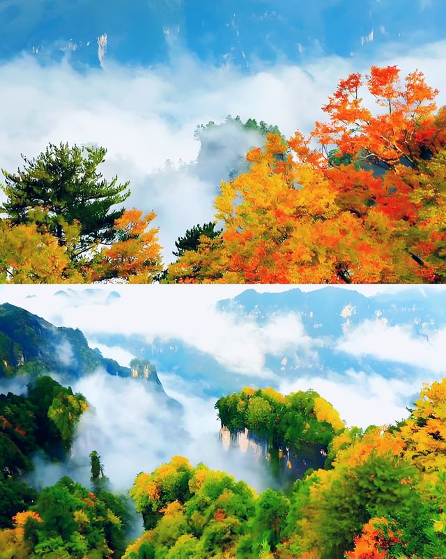 徒步愛好者天堂 | 穿越光霧山精華路段