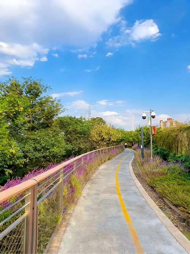 山城寶媽帶娃記辣味與魔幻並存的親子歡樂之旅 山城寶媽帶娃記辣味與魔幻並存的親子歡樂之旅