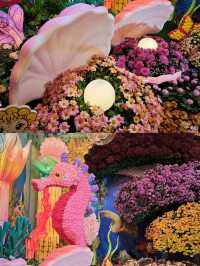 河南5天秋遊三大古都超全攻略