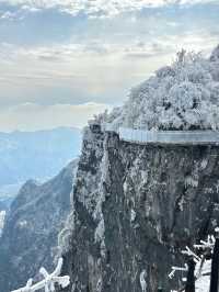 這裡不是阿凡達，是地球上的張家界！