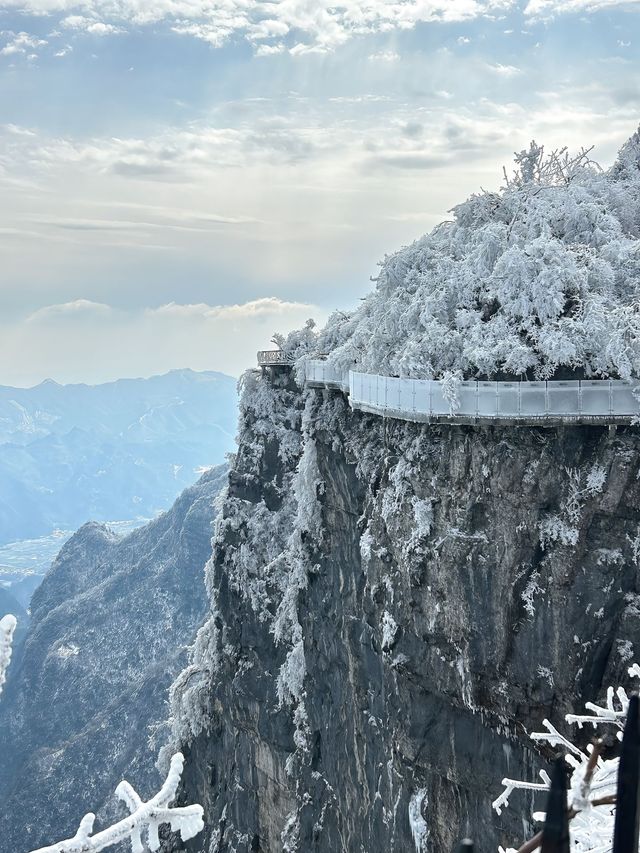這裡不是阿凡達，是地球上的張家界！