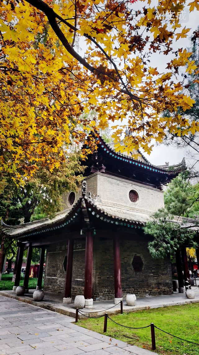 秋日去小雁塔感受歷史的厚重與自然和諧交融吧