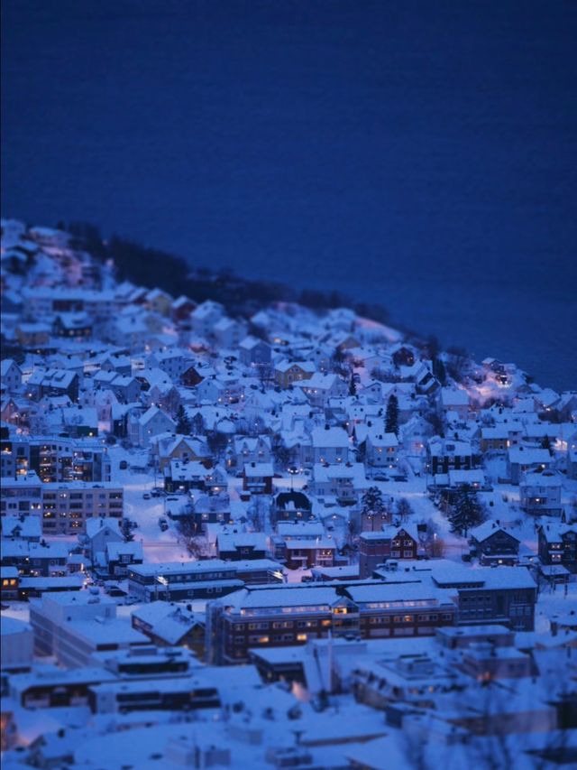 “有一天 我終會抵達冰島的紅房子” “有一天 我終會抵達冰島的紅房子”