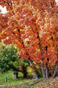 北京周邊這處神仙秘境我不允許還有人不知道！