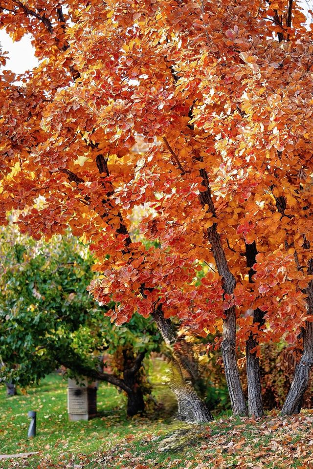 北京周邊這處神仙秘境我不允許還有人不知道！