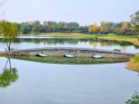 沣河梁家灘,最後的秋色