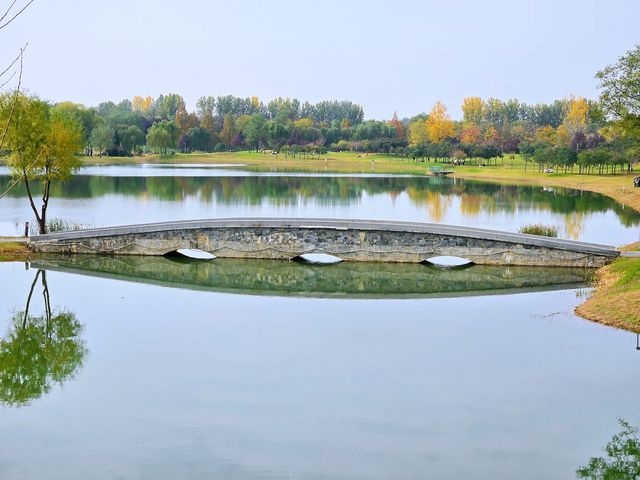 沣河梁家灘,最後的秋色 沣河梁家灘,最後的秋色