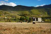 日落剪影絕美打卡點