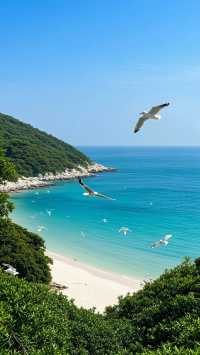 北麂島避世全攻略