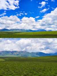 探秘甘南藏族自治州美仁大草原！