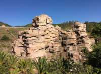 所謂「北有兵馬俑,南有恐龍谷」楚雄世界恐龍谷全攻略