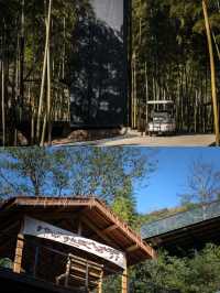 安吉躺平封神！私湯+瀑布+山野下午茶～