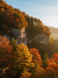 帶娃闖進紅葉童話！光霧山2天1晚超省心版