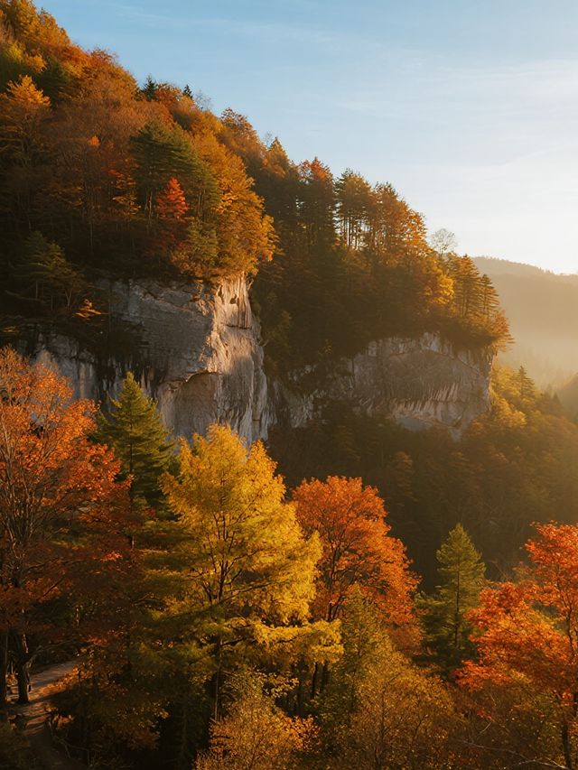 帶娃闖進紅葉童話！光霧山2天1晚超省心版
