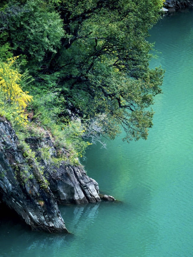 川西松平溝秘境99%的人都不知道的寶藏地