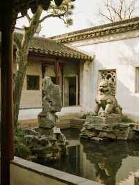 崂山親子賞秋5大景區+親子路線|帶娃解鎖古樹紅楓