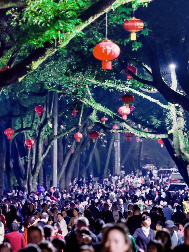 邂逅鹹寧，共赴一場溫泉文旅的綺夢