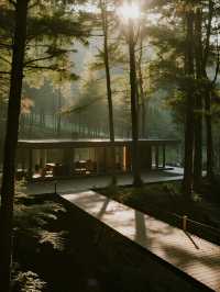 莫干山親子治癒遊！落地窗民宿裡躺賞山林美景