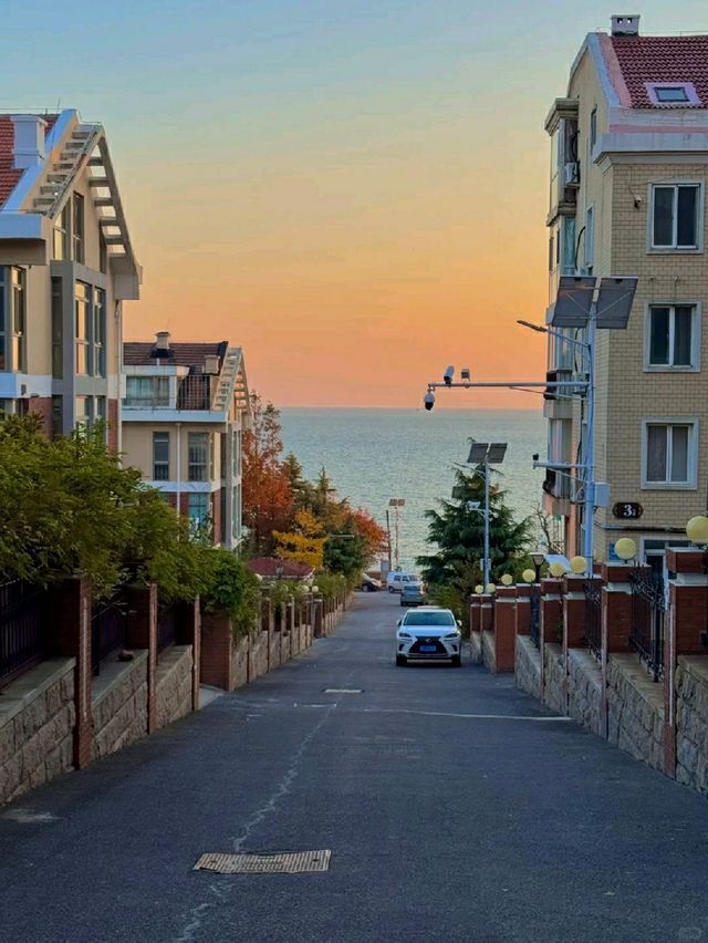 제주도 아닌 청도에서 만난 한겨울 파란 멜로🌅