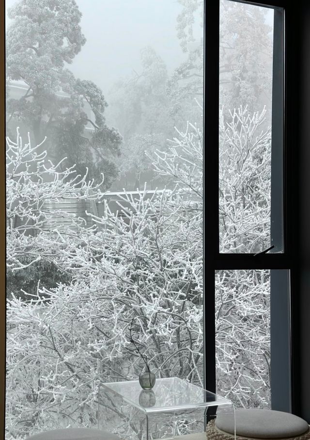 廬山霧淞仙境！這家百年別墅酒店封神了