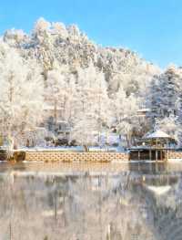 瘋了！廬山第一場雪，美到我站在雪地裡直跺腳！