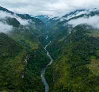 徒步金絲峽，遇見獼猴
