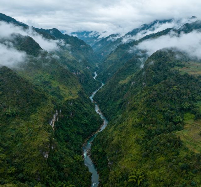 徒步金絲峽，遇見獼猴