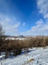 樺皮嶺已回！遊玩攻略已發！評論區有問必答