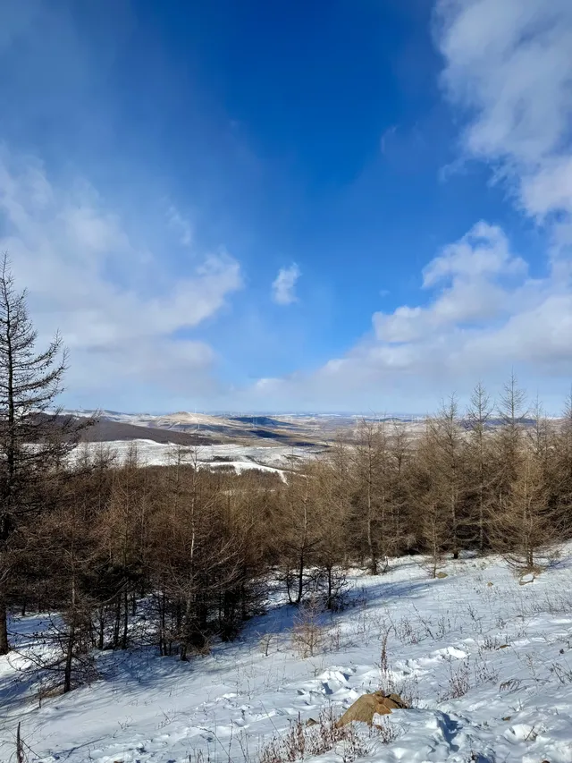 樺皮嶺已回！遊玩攻略已發！評論區有問必答