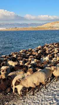 冰雪世界絕美藍冰