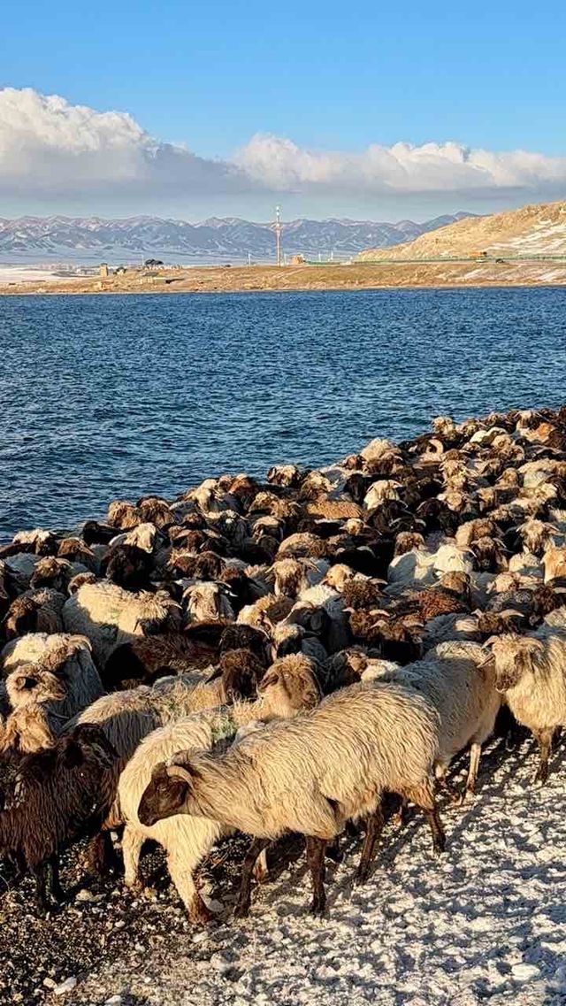 冰雪世界絕美藍冰