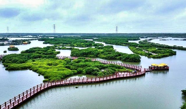 城裡人私藏觀景秘境 城裡人私藏觀景秘境