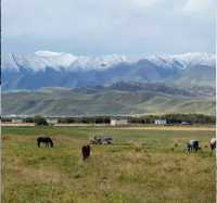 秋日限定甘南等地要去錯過等一年
