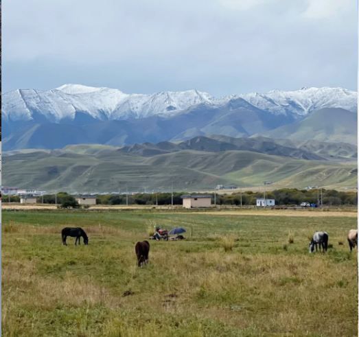 秋日限定甘南等地要去錯過等一年