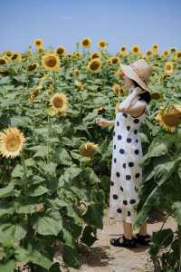 杭州灣2天1夜親子遊攻略｜濕地公園+凱悅酒店的神仙組合！