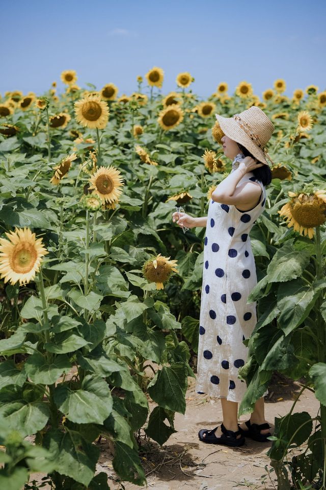 杭州灣2天1夜親子遊攻略｜濕地公園+凱悅酒店的神仙組合！