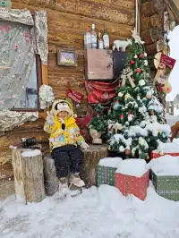 4大2小｜阿勒泰禾木喀納斯美到失語的秋假