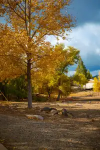 “南加無秋？”我不這麼認為喔