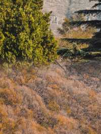 雲台山秋日天花板！私藏小眾機位大公開