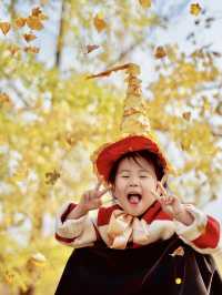 留住秋天的一百種方式