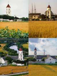 松江童話小村莊張樸村教堂與稻田