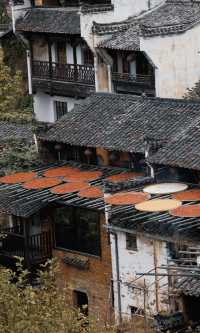 誰懂啊！篁嶺的絕美夜景才是YYDS