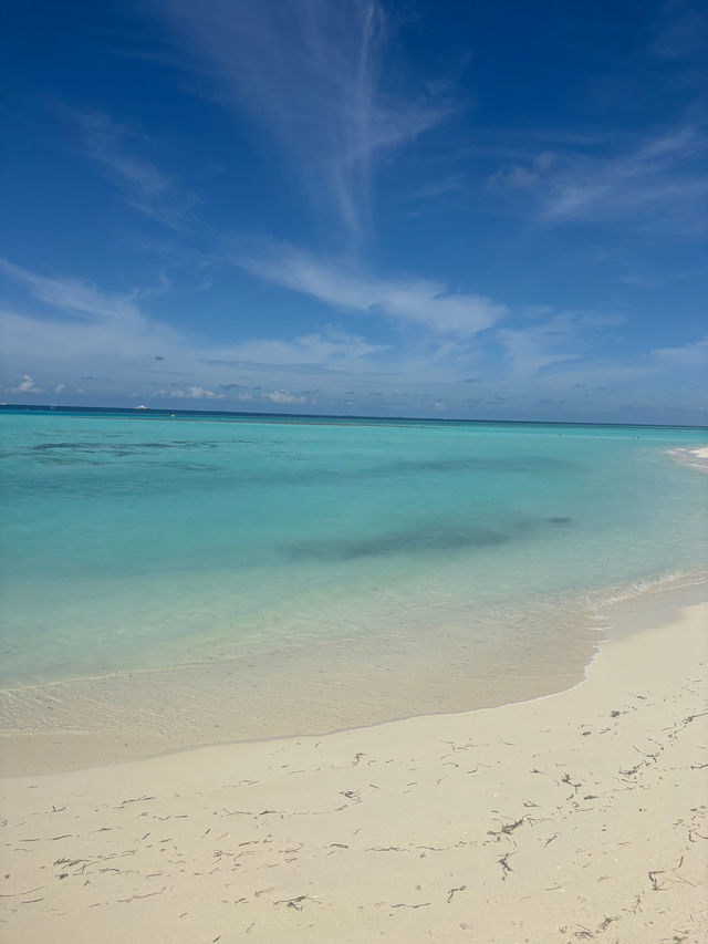 An Exceptional Host at a Beautiful Island An Exceptional Host at a Beautiful Island